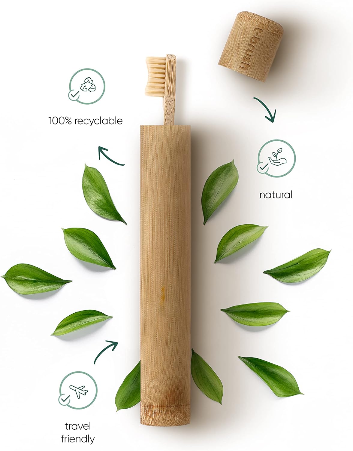 T-brush Bamboo Toothbrush Storage Container