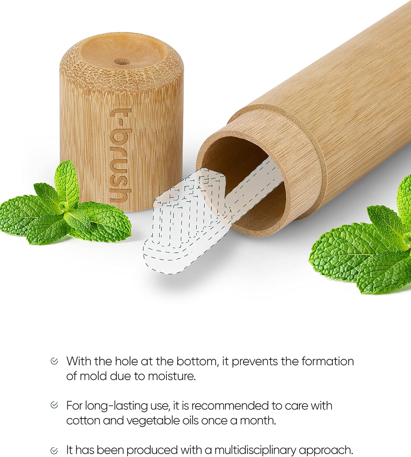 T-brush Bamboo Toothbrush Storage Container